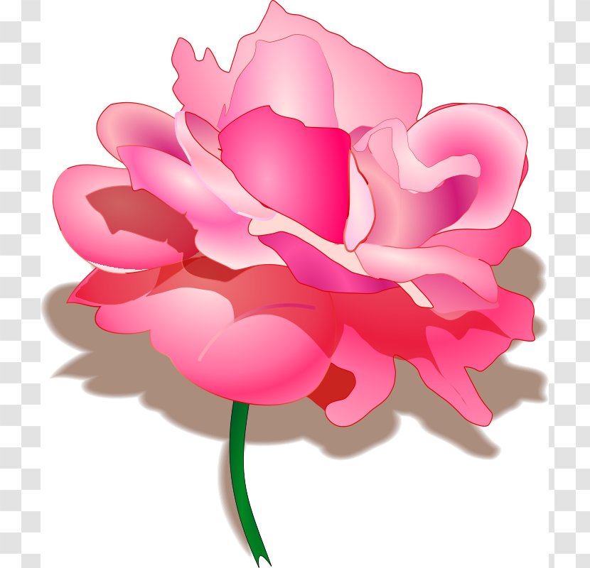 Raksha Bandhan Hindi Happiness SMS Wish - Brother - Rosa Flower Cliparts Transparent PNG