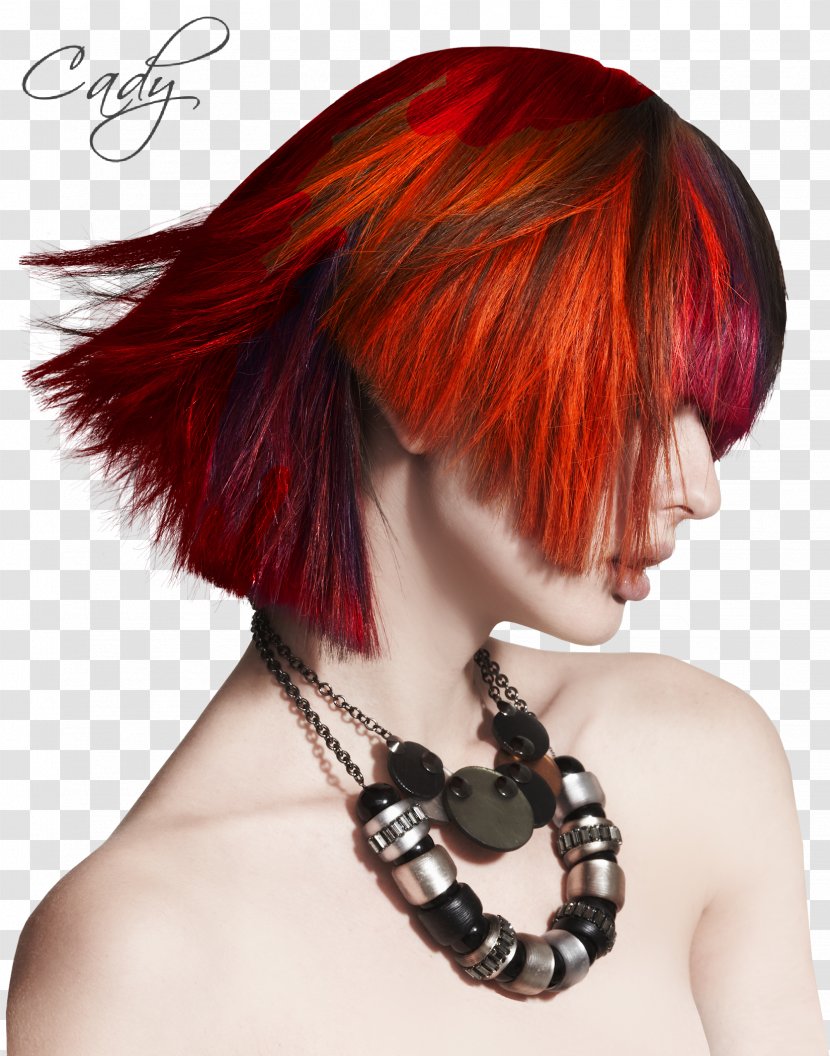 Hair Coloring Hairstyle Human Color - Brown - Model Transparent PNG