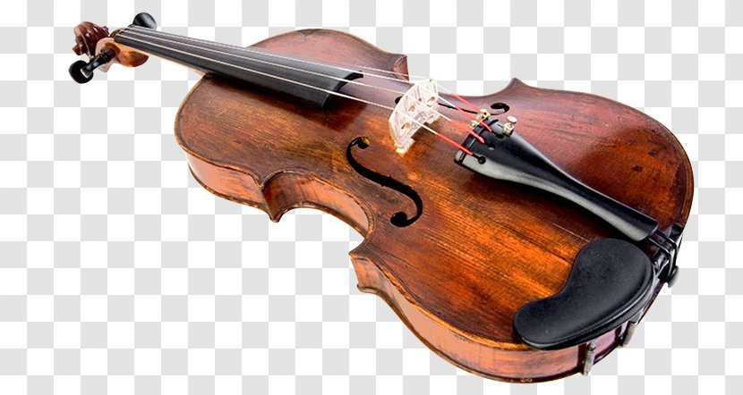 Bass Violin Musical Instruments String - Cartoon Transparent PNG