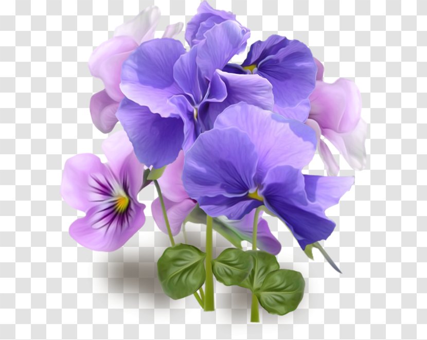 Pansy Flower Violet Clip Art - Plant Transparent PNG