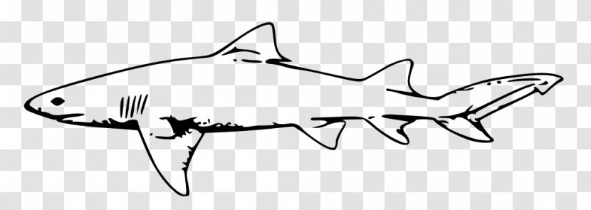 Great White Shark Vector Graphics Hammerhead Clip Art - Carcharhiniformes - Drawing Lemon Transparent PNG