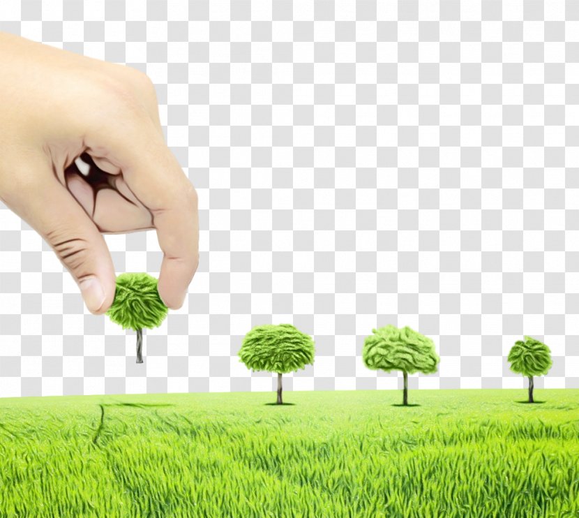 Arbor Day - Grass Family - Hand Transparent PNG