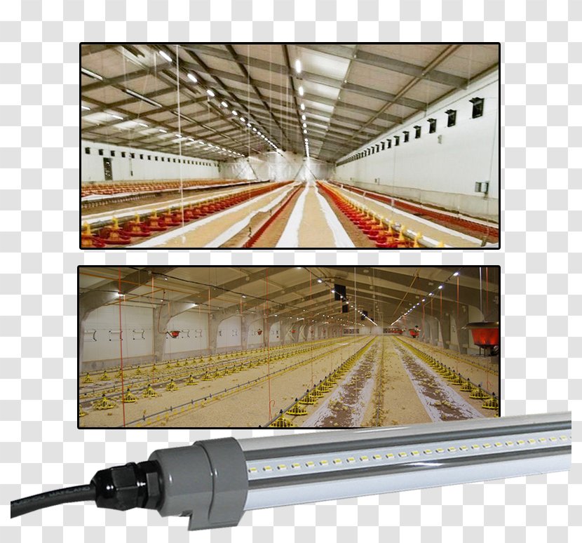 Steel Daylighting Angle - Lighting Control System Transparent PNG