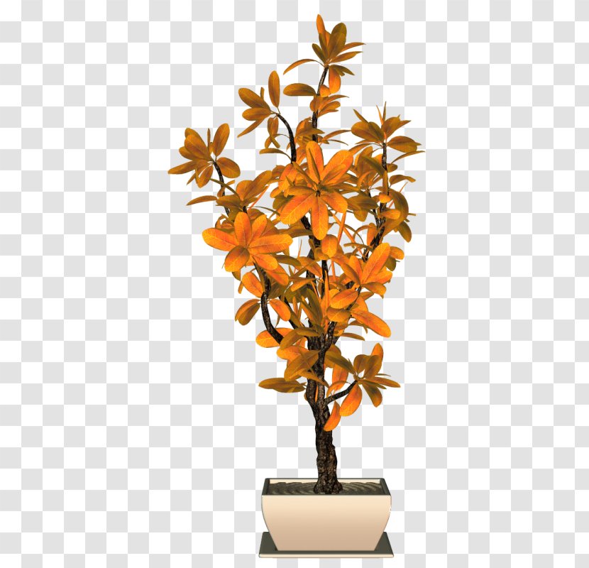 Flowerpot Houseplant Orange S.A. - Twig - Arbuste Sign Transparent PNG