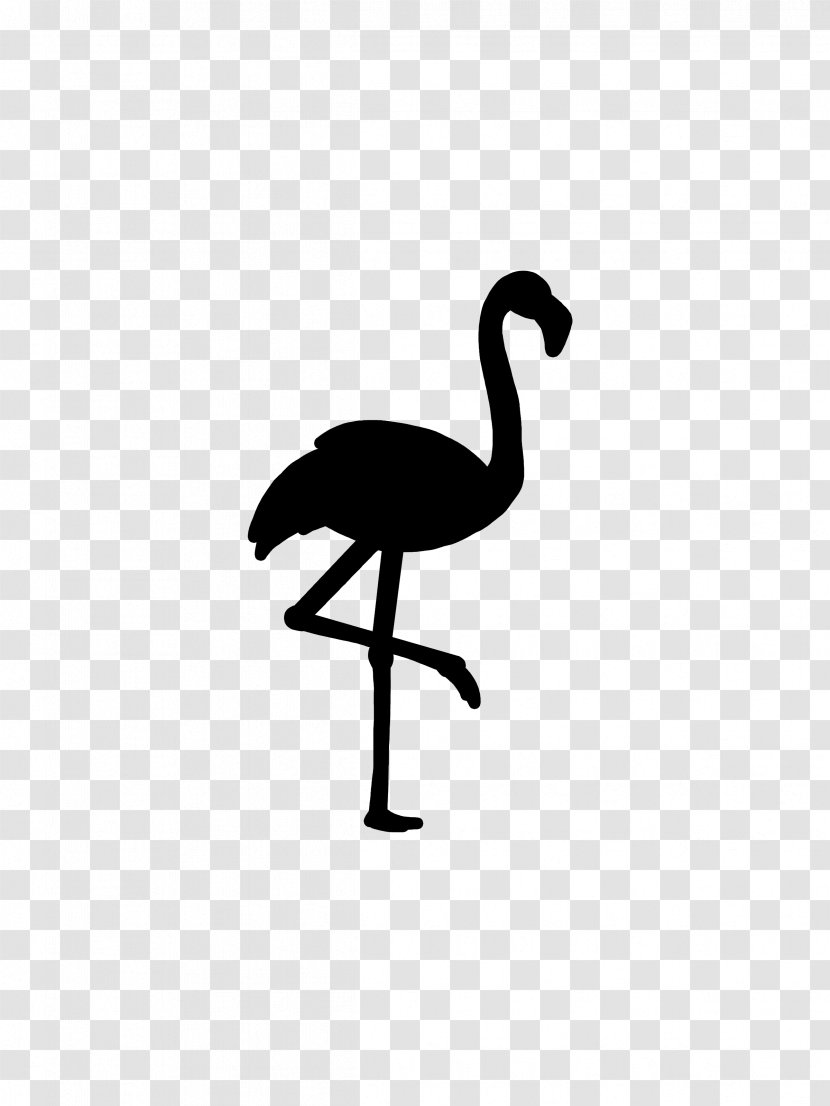 Bird Roblox Crane Pink Flamingo - Ratite - Nightclub Transparent PNG
