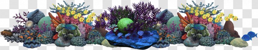 Coral Reef Underwater Alcyonacea Sea - Fish Transparent PNG
