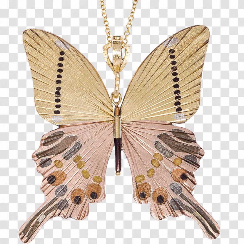 Charms & Pendants Moth Necklace - Butterfly Transparent PNG