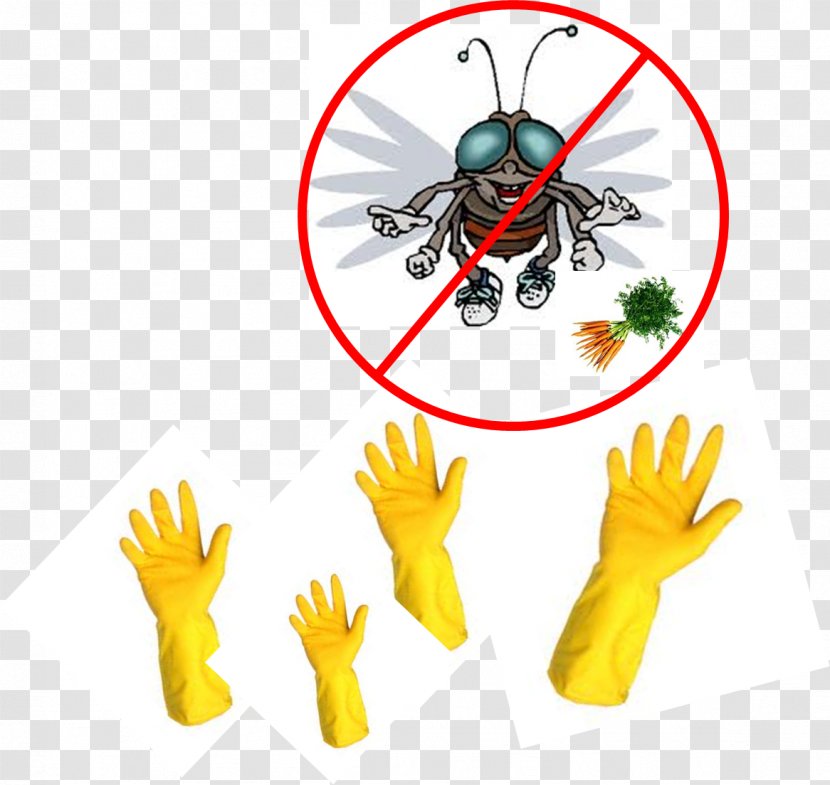 Insect Pollinator Invertebrate Pest Food - Surgery - Carrot Block Transparent PNG