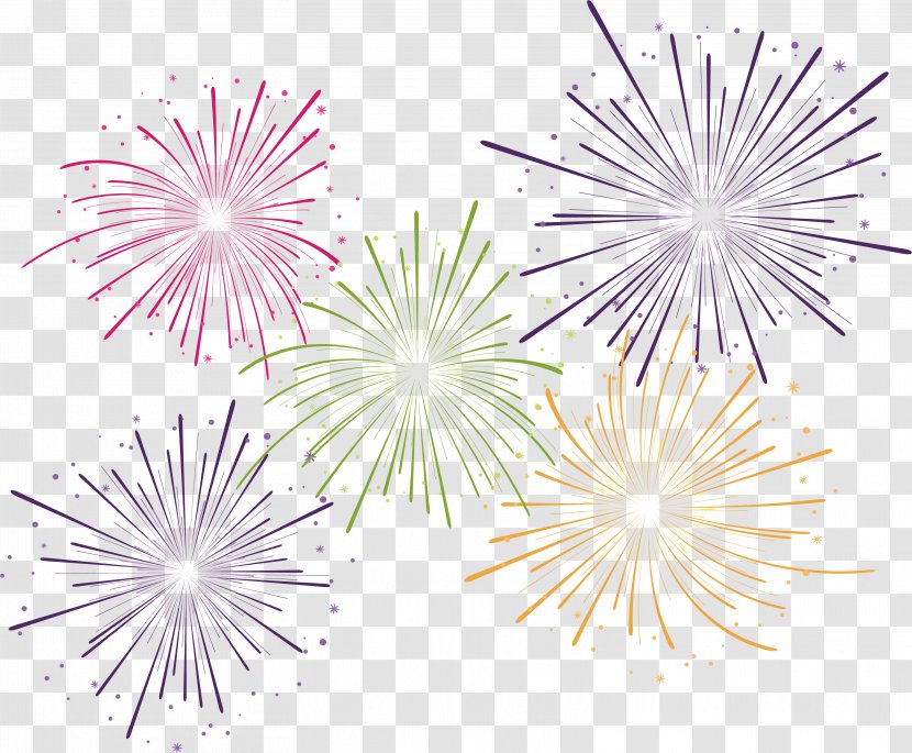 Fireworks Pyrotechnics - White - Carnival Transparent PNG