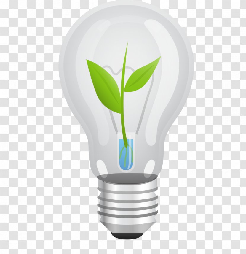 Incandescent Light Bulb Grow Escape Reality Lighting - Exempts Transparent PNG