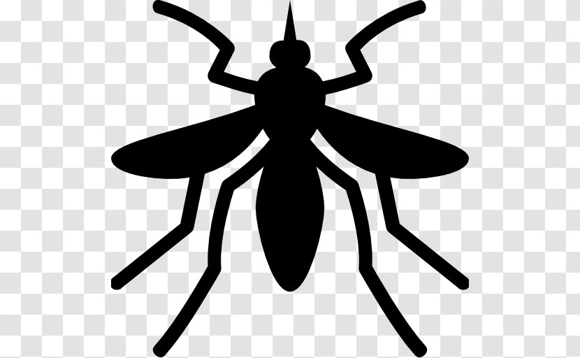 Yellow Fever Mosquito Vaccine Chikungunya Virus Infection - Symmetry - Vector Transparent PNG