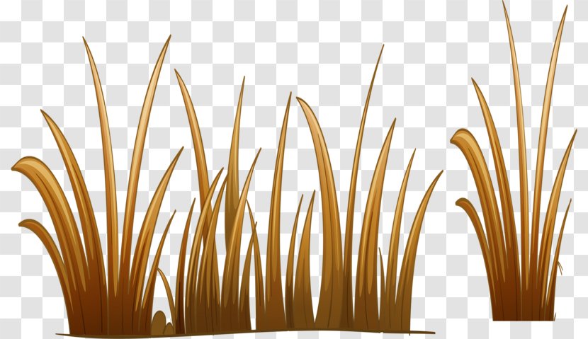 Download - Project - Yellow Grass Transparent PNG