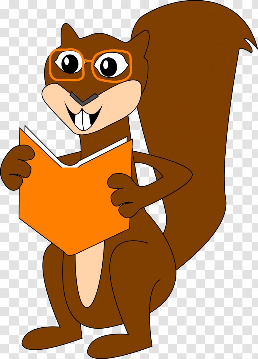 Squirrel Clip Art - Carnivoran Transparent PNG