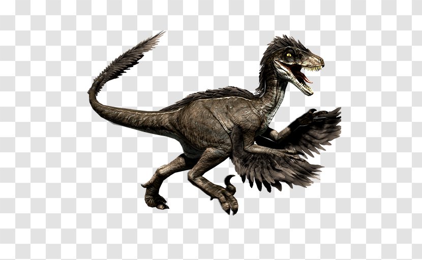 Primal Carnage: Extinction Velociraptor Tyrannosaurus Utahraptor - Steam - Feathered Dinosaur Transparent PNG