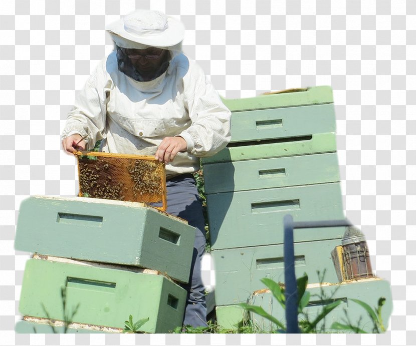 Canada Beehive Beekeeping Beekeeper - Bee - Collect Honey People Transparent PNG