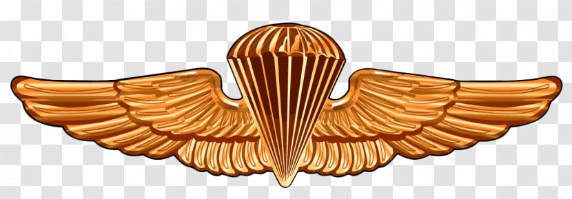 United States Naval Academy Parachutist Badge Special Warfare Insignia Navy SEALs Army Airborne School - Usmc Military Couples Transparent PNG