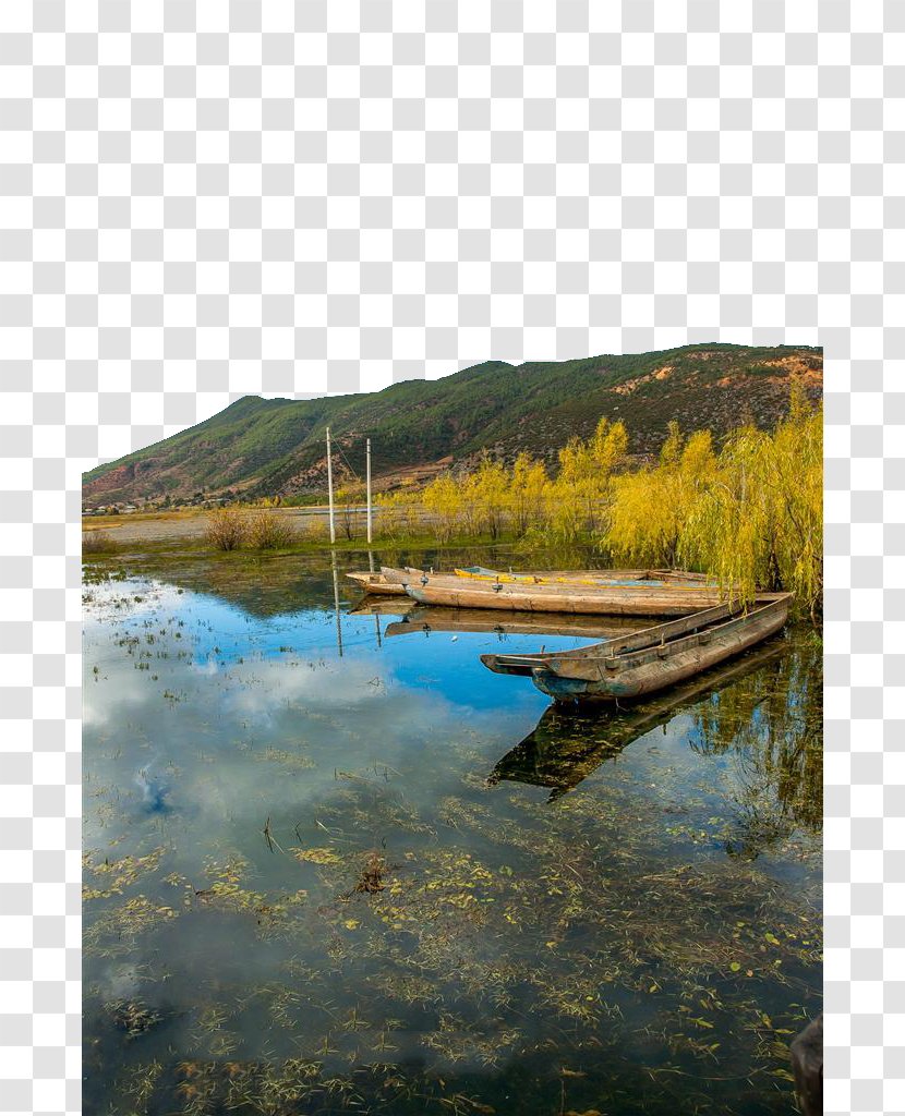 Lugu Lake Icon - Marsh - Beautiful Transparent PNG