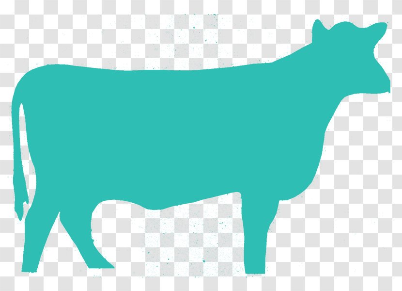 Dairy Cattle Angus Holstein Friesian Texas Longhorn Beef - Dog Like Mammal - Sheep Transparent PNG