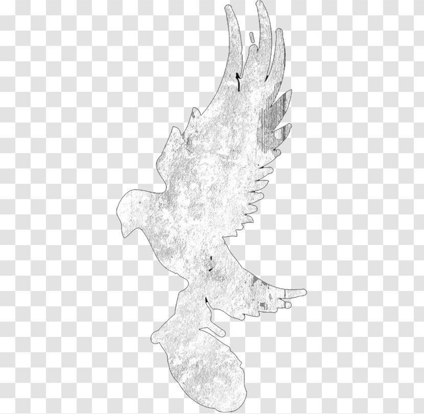 Chicken Bird Anatidae Cygnini Sketch - Wing - Hollywood Undead Logo Transparent PNG