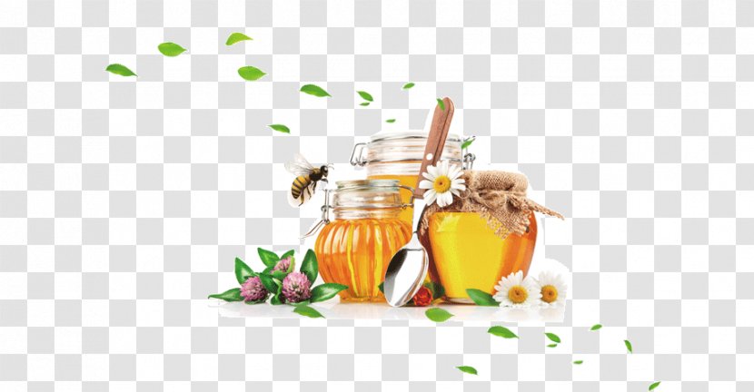 Honey Bee Vegetarian Cuisine Buckwheat - Flower Transparent PNG