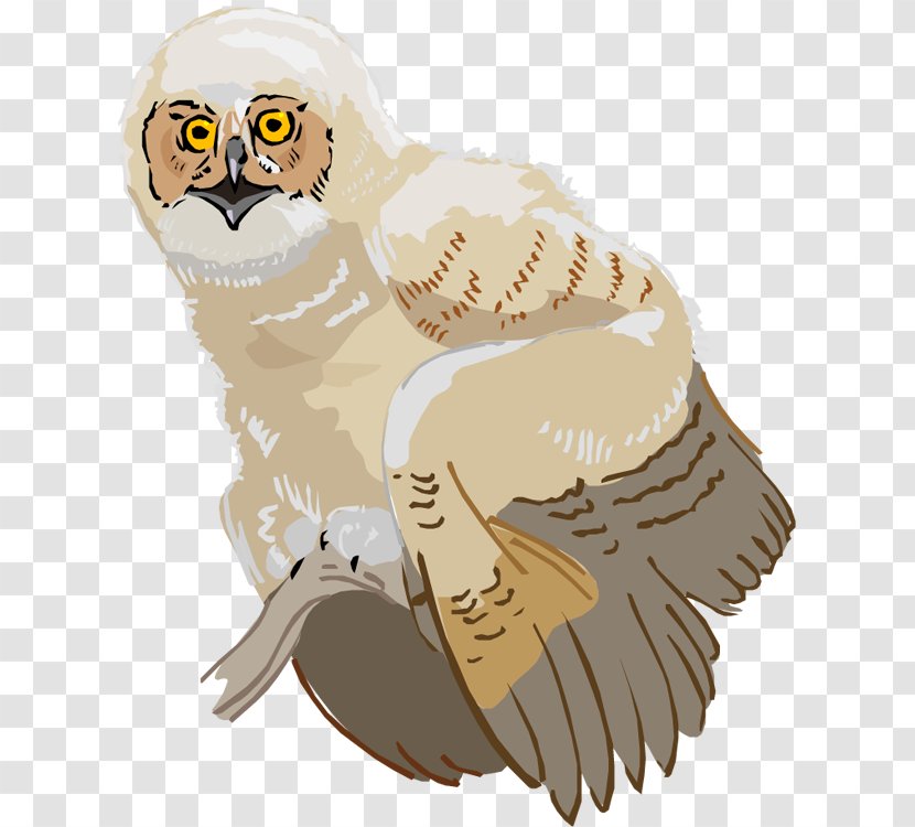 Owl Beak Clip Art - Fictional Character Transparent PNG