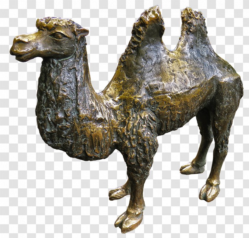 Bronze Sculpture Dromedary Statue - Camel Transparent PNG
