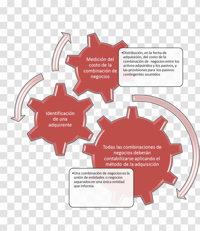 Organization Enterprise Architecture Health Care Business - Girls Transparent PNG