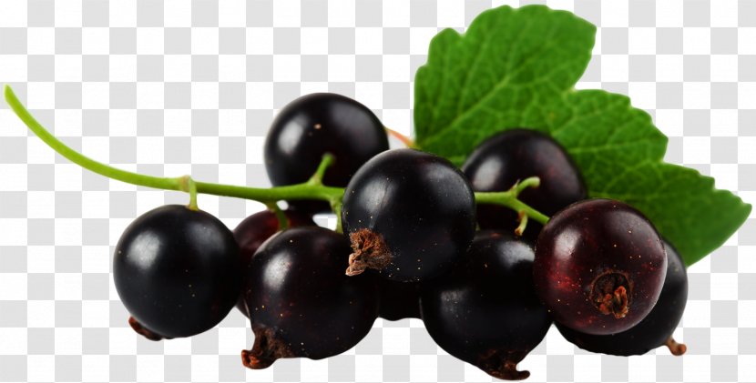 Blackcurrant Bilberry Zante Currant Blueberry Transparent PNG