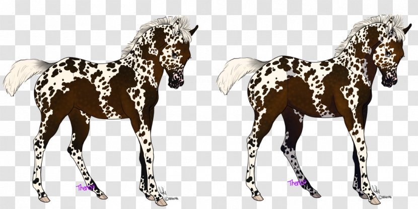 Mustang Foal Stallion Colt Halter - Bridle - Rosie Jetsons Transparent PNG