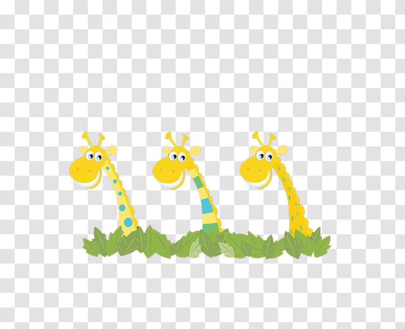 Northern Giraffe Cartoon Illustration - Animal - Three Giraffes Transparent PNG