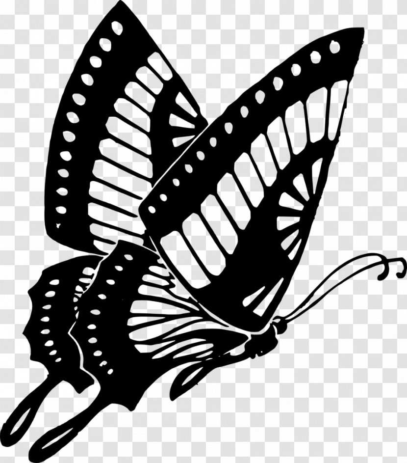 Butterfly Clip Art - Black And White - Purple Transparent PNG