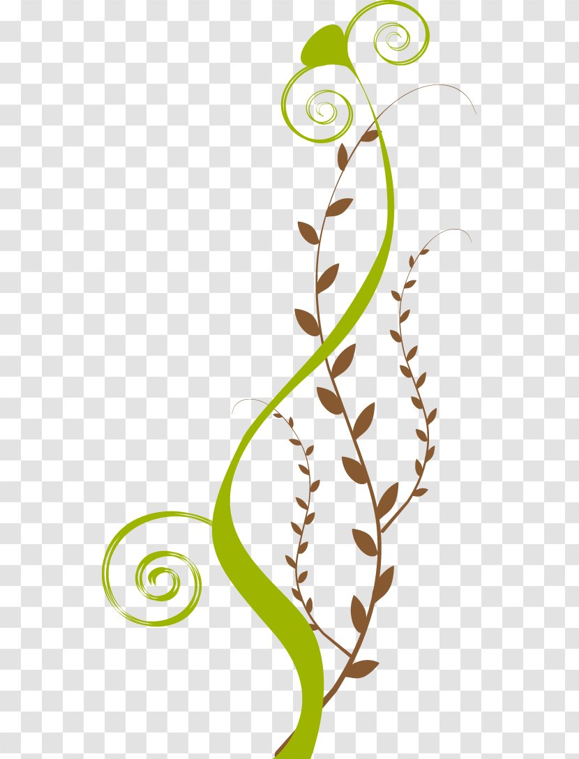 Stolon Plant Stem Ipeľ Leaf Clip Art - Area - Flora Transparent PNG