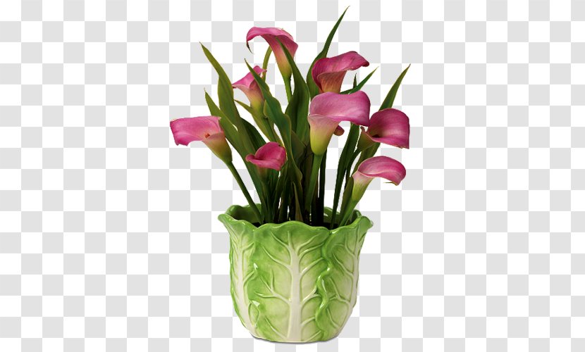 Floral Design Cut Flowers Flower Bouquet Arum-lily - Flowerpot Transparent PNG
