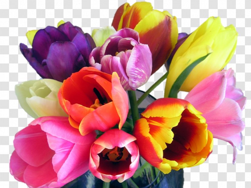 Tulip Floral Design Cut Flowers Flower Bouquet - Floristry Transparent PNG