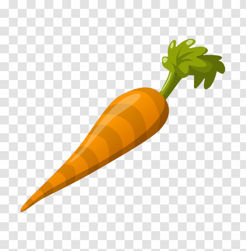 Carrot Juice Vegetable Asian Ginseng Vitamin - Daucus - Cartoon Vegetables Carrots Daily Essential Vitamins Transparent PNG