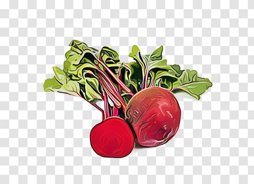Radish Beetroot Beet Vegetable Food - Superfood Leaf Transparent PNG
