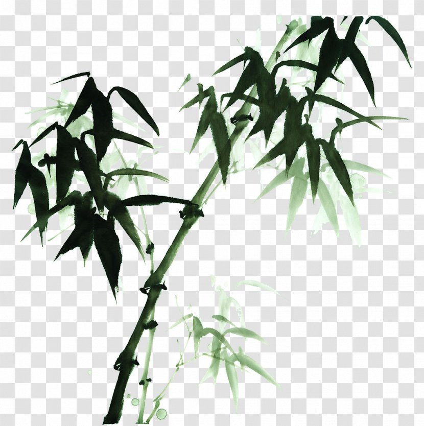 Paper Bamboo - Branch - Hand-painted Illustration Transparent PNG