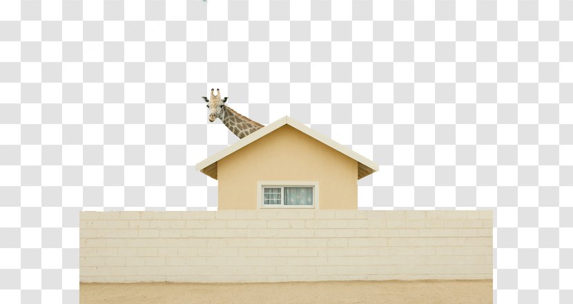 Humour Photography Photographer Brite Productions - Property - Giraffe House Transparent PNG