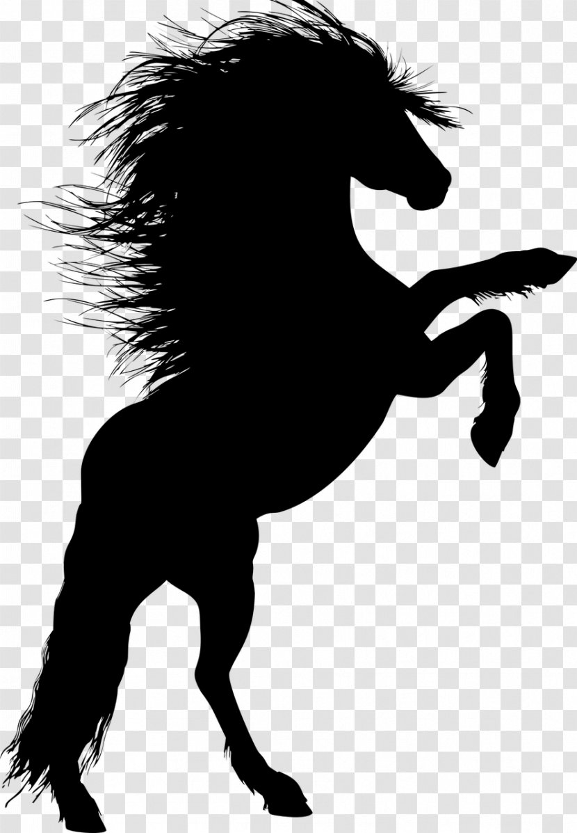 Horse Stallion Rearing Silhouette Unicorn - Winged - Animal Silhouettes Transparent PNG
