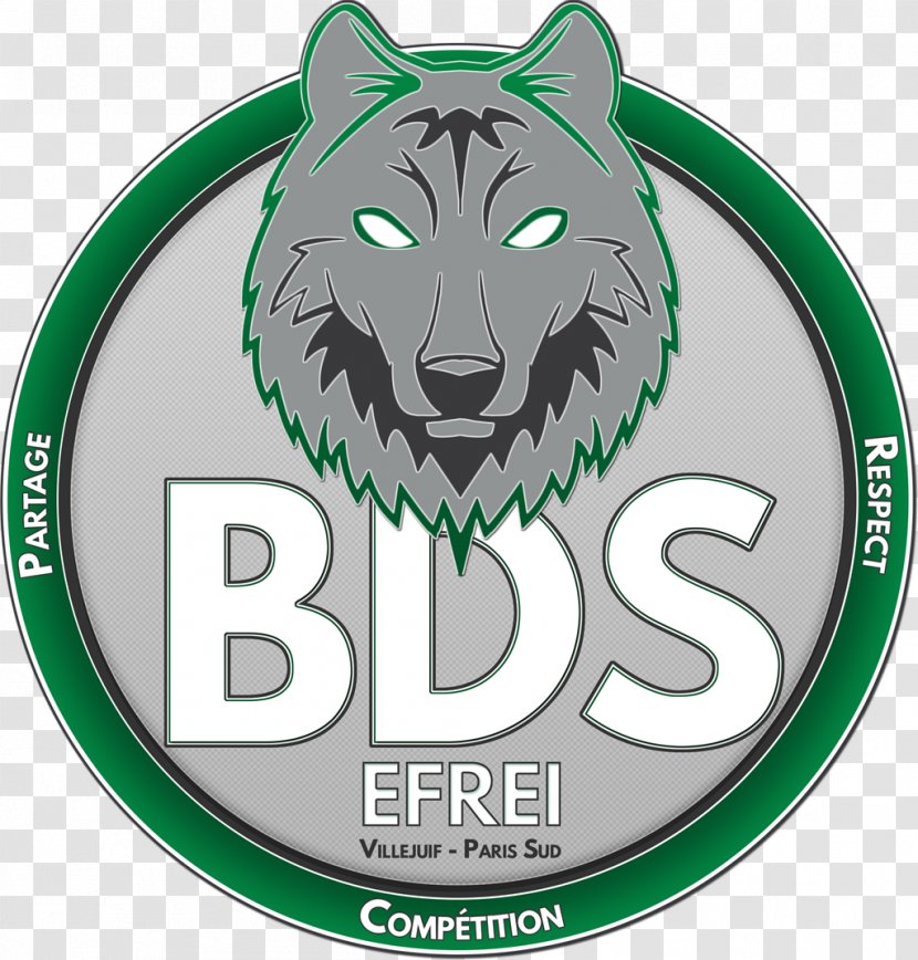 Gray Wolf Drawing - Logo - Design Transparent PNG