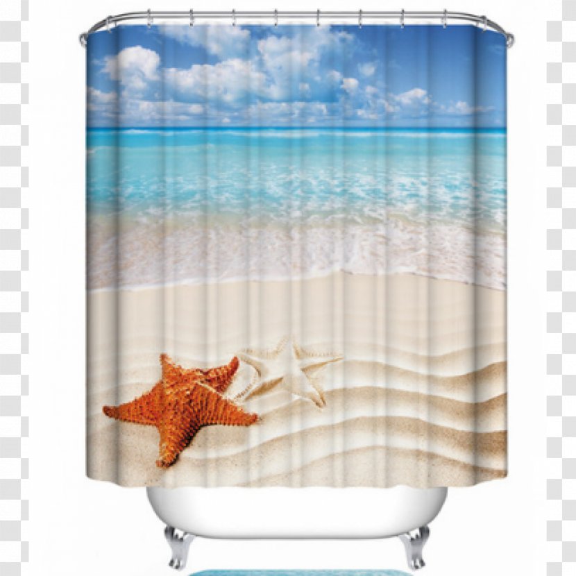 Light Seashell Beach Wallpaper - Shower Curtain - Waters Plashing Transparent PNG