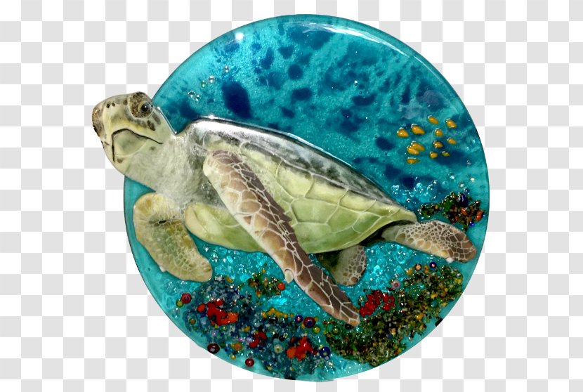 Loggerhead Sea Turtle Box Turtles Snapping Tortoise - Marine Biology Transparent PNG