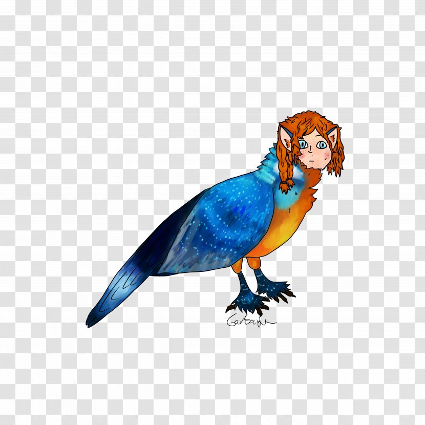 Budgerigar Macaw Parrot Parakeet Beak - Bird Transparent PNG
