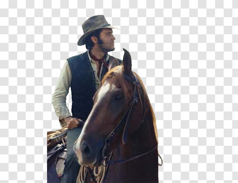 Graceland Western Television Film - Neck - Elvis Presley Transparent PNG