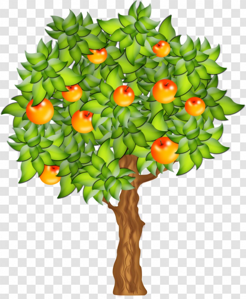 Fruit Tree Clip Art - Flower Transparent PNG