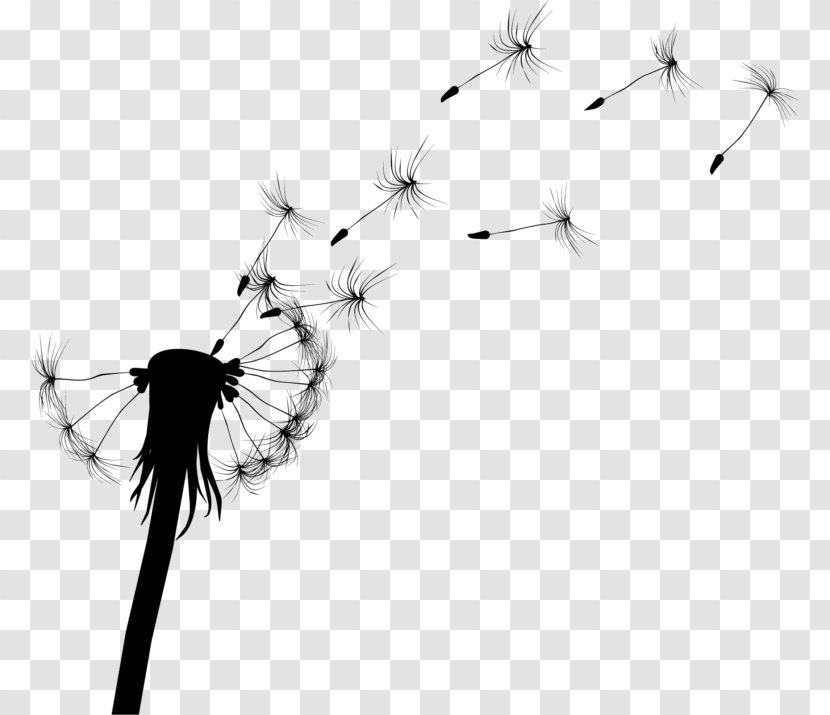 Common Dandelion Drawing Silhouette - Membrane Winged Insect Transparent PNG