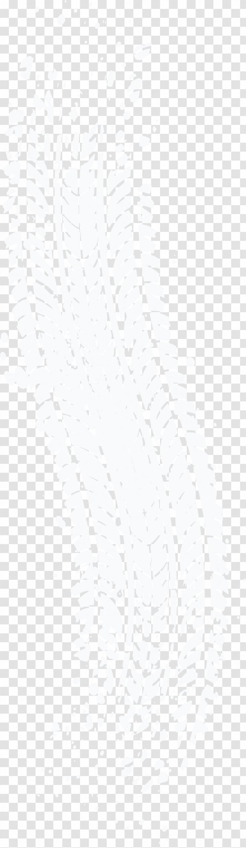 Photography Light White Wedding - Tyre Tracks Transparent PNG