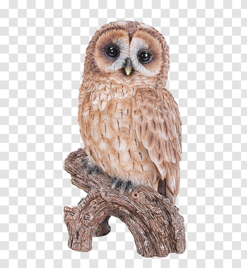 Owl Bird Of Prey Animal Figure Barn - Eastern Screech Transparent PNG