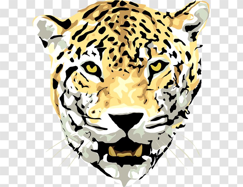 Jaguar Felidae Cheetah Snow Leopard Clip Art Transparent PNG