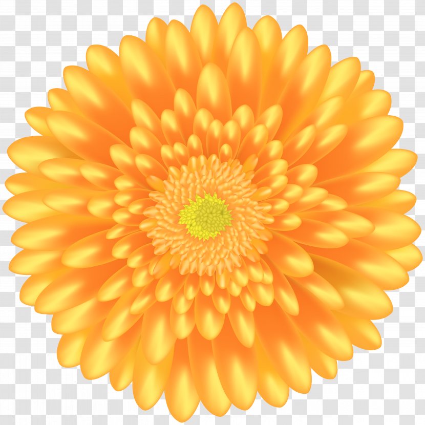 Orange Clip Art - Daisy - Flower Transparent PNG